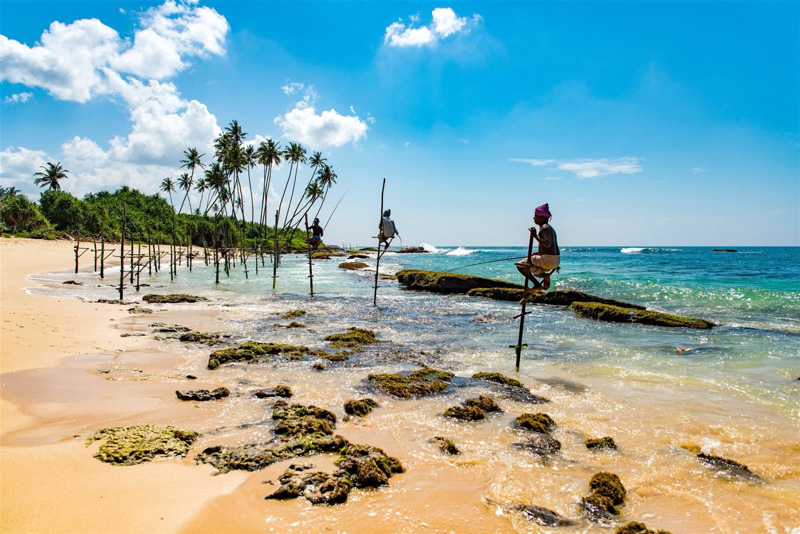 South Coast Beaches